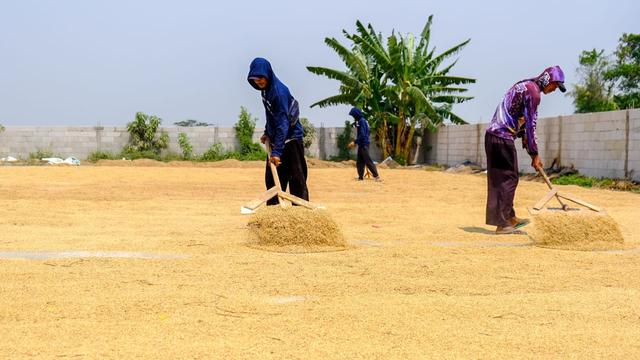 PT Wilmar Padi Indonesia memulai program dalam membantu meningkatkan kemampuan pelaku usaha penggilingan melalui Mill Engagement Program (MEP).