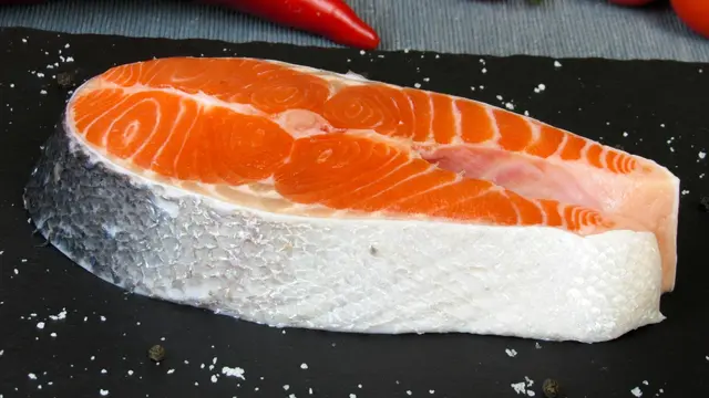 Salmon