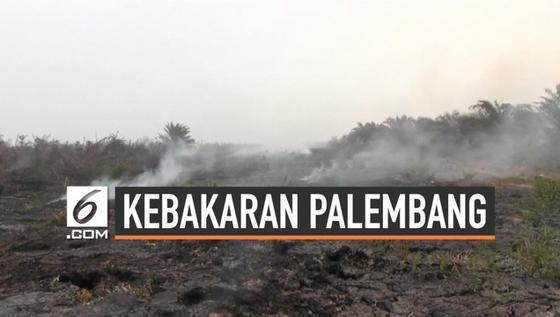 VIDEO: Sempat Hujan, Kini Titik Api di Palembang Bertambah