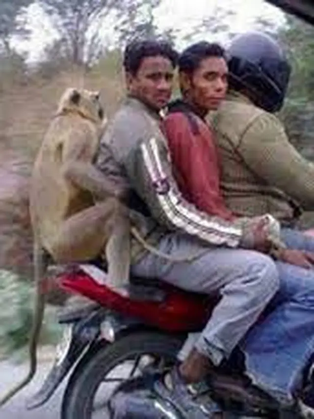 6 Tingkah Gokil Bapak-Bapak India Ini Absurd Banget, Enggak Habis Pikir