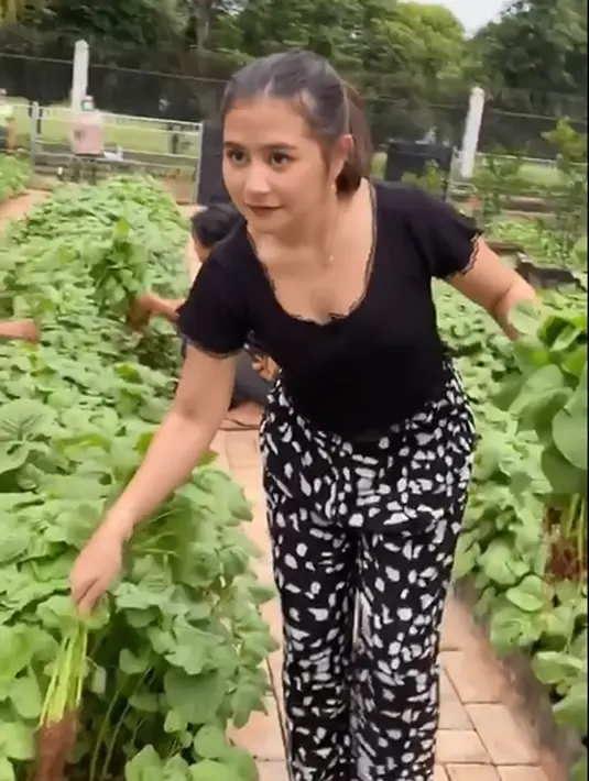 Prilly Latuconsina (Instagram/prillylatuconsina96)