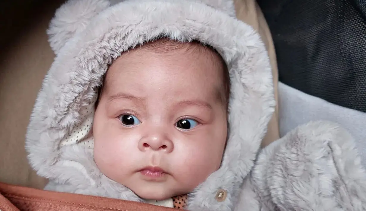 Reaksi baby Nova yang lahir pada 14 November 2022 lalu itu mencuri perhatian netizen. Banyak warganet dan teman selebriti yang makin gemas dengan baby Nova. "Gemesss!! Nurut lagi diaaa," tulis Adiezty Fierza. "HUAAAAAA GEMESHHH!!!!!," tulis Felicya Angelista. "Aaaaa gemessssss," tulis Denada. [Instagram/graciaz14]