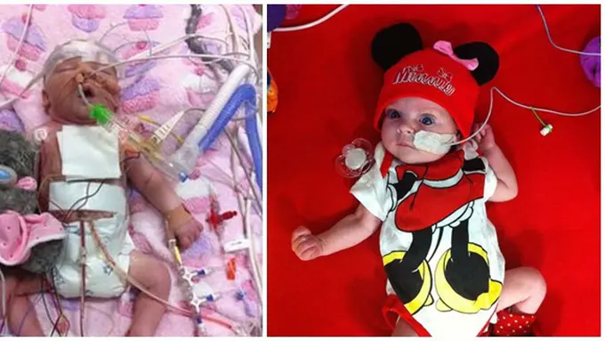 Photo copyright Viralnova.com