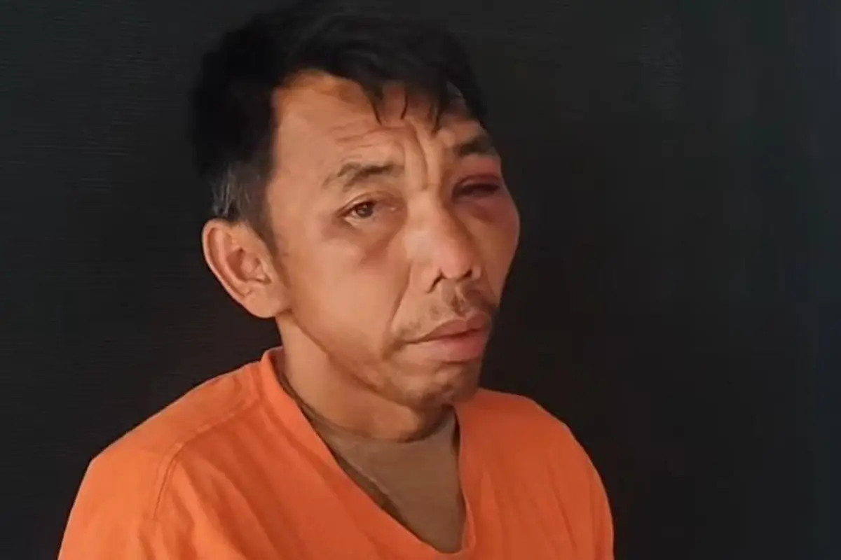 Pelaku Pemerkosaan dan Pembunuhan Keponakan Sendiri di Padang Lawas Utara, Sumatera Utara, Darwin Harahap