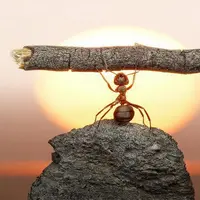 Agar masa muda tak sia-sia, ini yang harus kamu lakukan. | via: lorianngarner.com