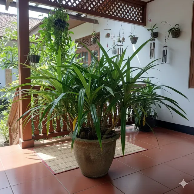 Pandan (Foto: Gemini AI)