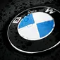 Logo BMW (Foto: picnations.com)