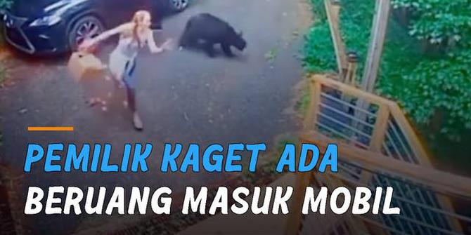 VIDEO: Beruang Masuk Mobil, Buat Pemilik Mobil Kaget