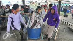 Nelayan membawa tangkapan ikan hiu hasil melaut ke pelelangan ikan, Karangsong, Indramayu, Jawa Barat, Kamis (16/6/2015). Meski sudah ada larangan perburuan dan perdagangan, nelayan setempat masih memperdagangkan sirip hiu. (Liputan6.com/Herman Zakharia)