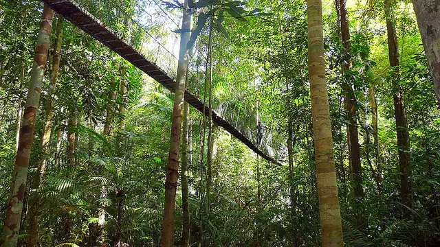 Berwisata ke Malayasia, Jangan Lupa Kunjungi Tempat Ini