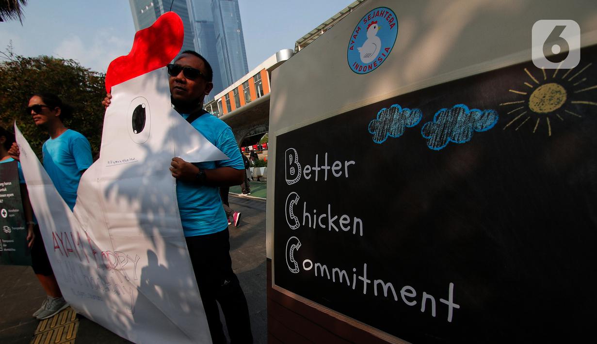 Koalisi ayam sejahtera Indonesia melakukan aksi simpatik saat hari bebas kendaraan bermotor di Jalan MH Thamrin, Jakarta, Minggu (25/6/2023). (Liputan6.com/Angga Yuniar)