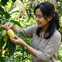 Cara Mengolah Buah Mengkudu supaya Tidak Pahit (AI Generated)