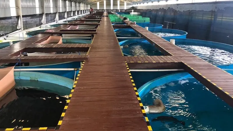 Aquaculture Research Center (ARC)