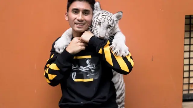 6 Momen Alshad Bareng 'Selen' Harimau Putih, Tangan Bengkak Karena Digigit