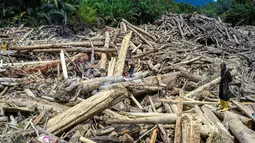 Hingga Kamis 4 Desember 2025, tumpukan material kayu gelondongan masih terlihat dan mulai dimanfaatkan warga sebagai material untuk membangun kembali rumah mereka yang rusak. Tampak dalam foto, warga desa memotong batang kayu yang hanyut akibat banjir bandang di Garoga, Provinsi Sumatra Utara, pada Kamis 4 Desember 2025. (YT HARIONO/AFP)
