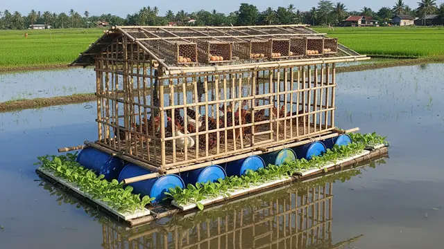 Desain Kandang Ayam Multifungsi Sekaligus Kebun Sayur. AI