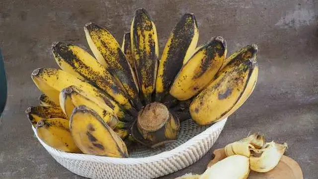 Rahasia Merebus Pisang Kepok dengan Rice Cooker, Wajib Dicoba