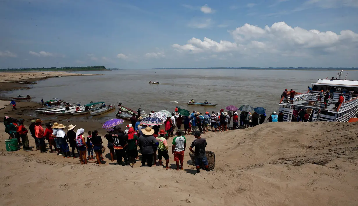 Negara bagian Amazonas di barat laut Brasil merupakan negara bagian terbesar berdasarkan luas wilayah. (AP Photo/Edmar Barros)