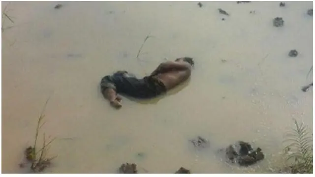 6 Kelakuan Nyeleneh saat di Sawah Ini Bikin Geleng Kepala