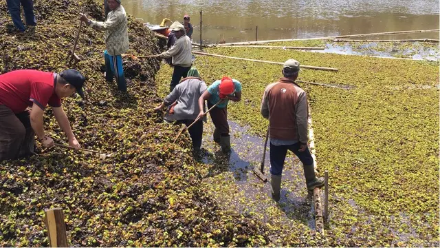 Gotong Royong di Lereng Gunung Semeru Bersihkan Ranupani