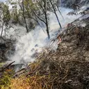 Kebakaran Bromo Diduga Akibat Human Error, Ini Kata Menko Polkam