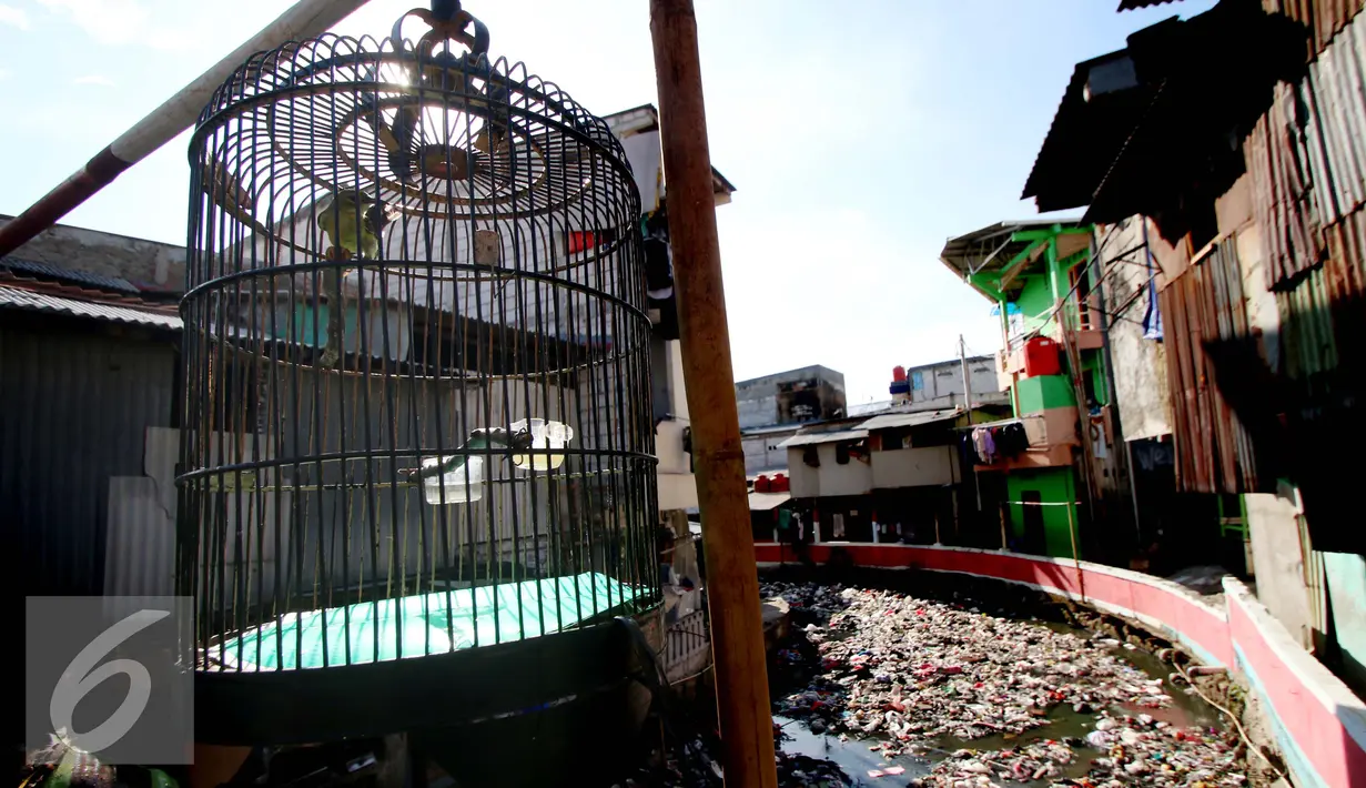 Kondisi pemukiman di kawasan Tanah Abang, Jakarta, Kamis (5/1). Jumlah penduduk miskin hingga September tahun lalu turun menjadi 27,76 juta orang apabila dibandingkan dengan Maret 2016 sebanyak 28,01 juta orang. (Liputan6.com/Angga Yuniar)