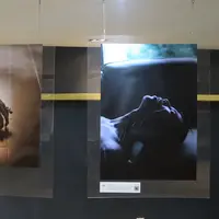 Sederet seniman mengekspresikan perspektif mereka soal tubuh yang terkait dengan standar kecantikan dan peran gender dalam sebuah pameran seni. (Figures)