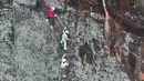 Foto dari udara menunjukkan wisawatan tengah melakukan panjat tebing di taman olahraga luar ruangan di wilayah Cili, Kota Zhangjiajie, Provinsi Hunan, China tengah (15/11/2020). Olahraga luar ruangan pada awal musim dingin menarik banyak pengunjung ke wilayah tersebut. (Xinhua/Wu Yongbing)