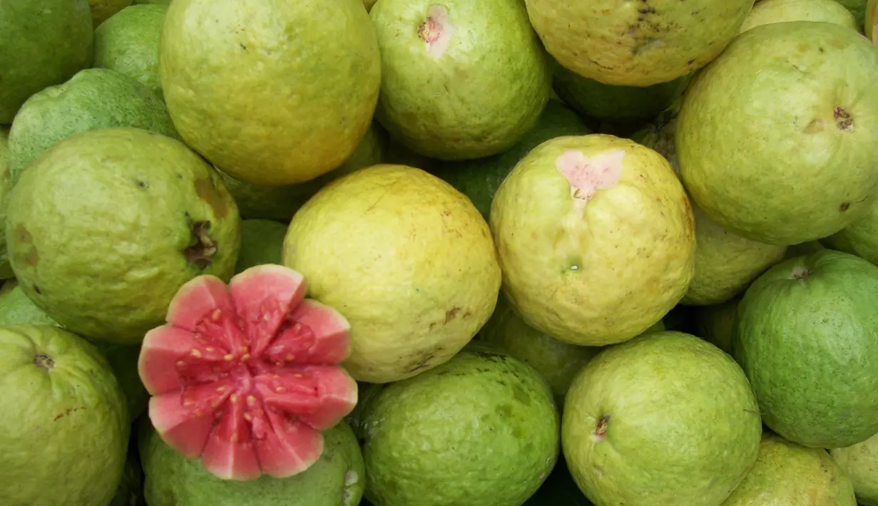 Jambu biji merupakan sumber vitamin C yang berperan memerangi radikal bebas yang merupakan penyebab utama penuaan pada seseorang serta untuk kesehatan jantung dan anti kanker. (commons.wikimedia.org)