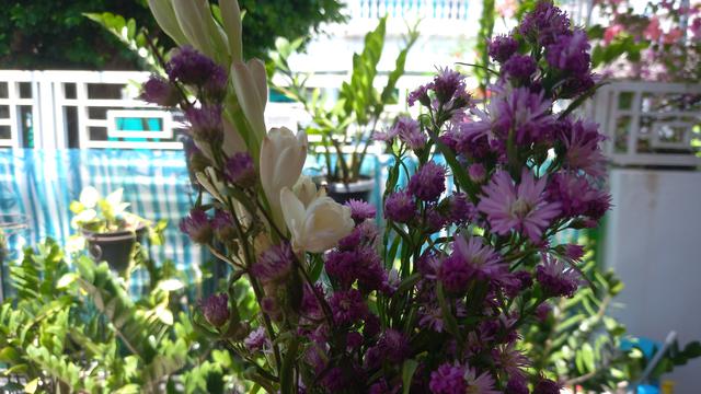 Foto menggunakan kamera 48 MP dari dalam ruangan menggunakan Samsung Galaxy M22 (Liputan6.com/Giovani Dio Prasasti)