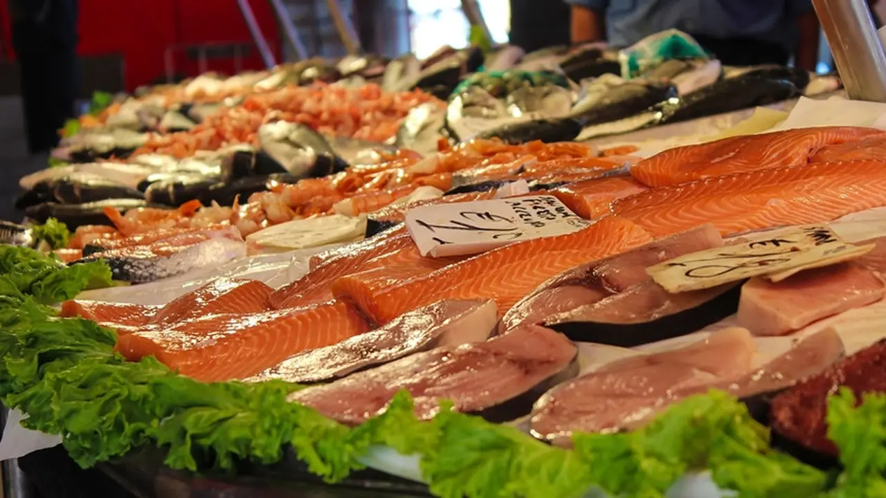 Ikan tuna