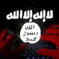 ISIS Ancam Pangkalan Militer AS di Korsel, Ilustrasi Hacker ISIS (Reuters)