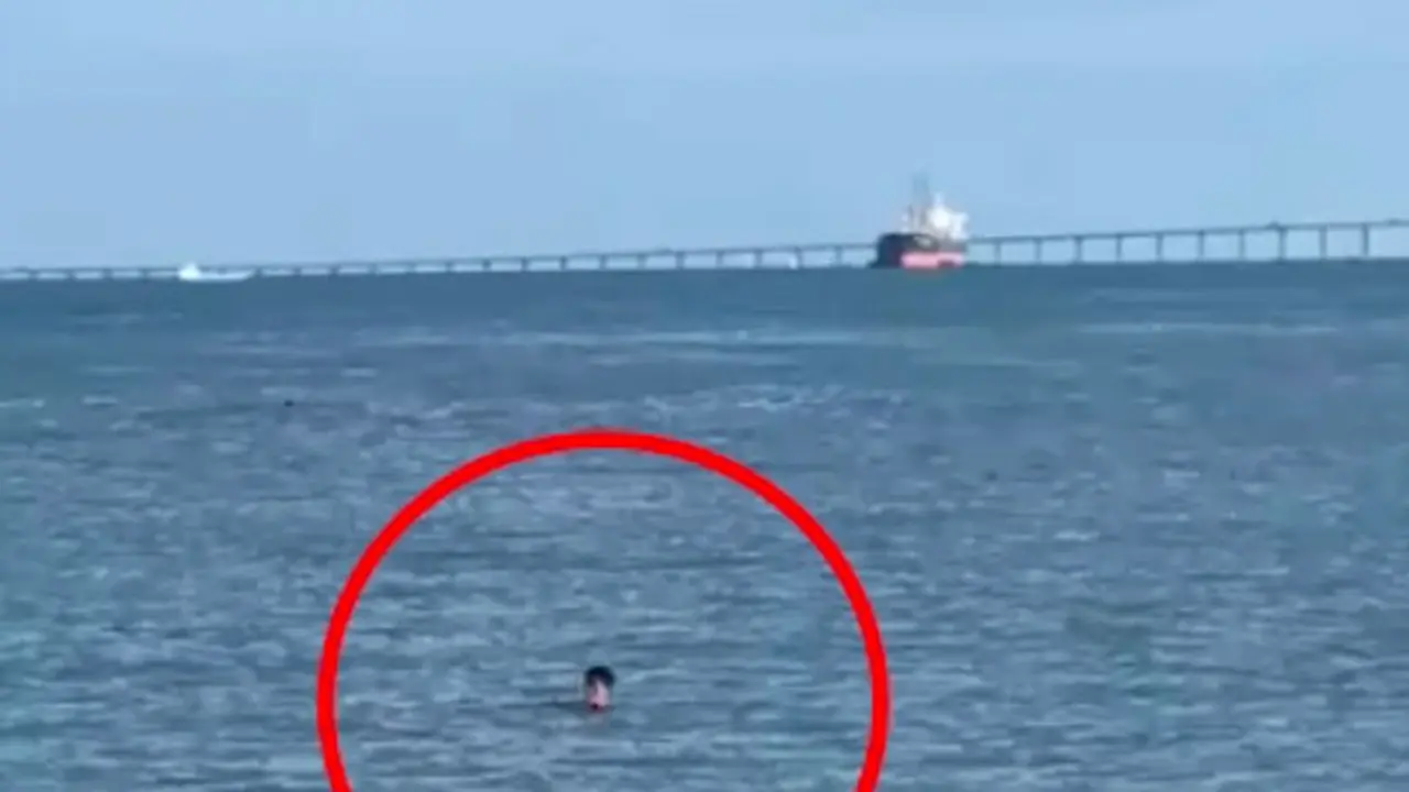 Pria yang Berenang di Selat Penang