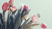 Ilustrasi bunga tulip | unsplash.com/@zeitschreiber