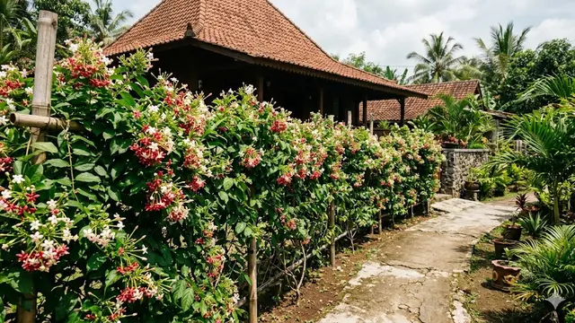 Jenis Bunga Melati untuk Pagar Hidup