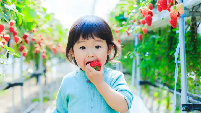 anak makan buah