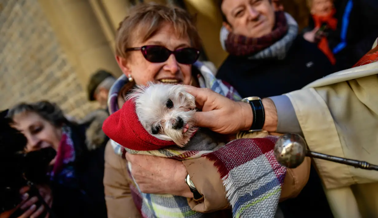 Seorang pendeta memberkati anjing saat upacara Saint Anthony di Madrid, Spanyol, Selasa (17/1). Saint Anthony adalah orang suci yang dianggap sebagai pelindung hewan di Gereja Katolik. (AP Photo / Daniel Ochoa de Olza)
