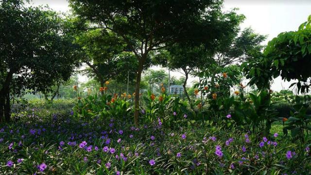 5 Taman Bertema Di Surabaya Yang Bikin Badan Dan Pikiran Segar Surabaya Liputan6 Com
