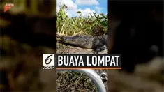 Kejadian mengerikan menimpa sekelompok turis saat melakukan liburan. Buaya raksasa tiba-tiba melompat ke kapal yang mereka tumpangi.
