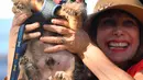 Darlene Wright mengangkat Scamp the Tramp setelah dinobatkan sebagai pemenang kontes World's Ugliest Dog di Petaluma, California, AS pada 21 Juni 2019. Acara ini sudah diadakan sejak tahun 1970an dan sudah menjadi acara rutin para pecinta anjing yang digelar setiap tahun. (JOSH EDELSON/AFP)