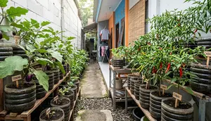 Cara Menggunakan Galon Mini 5 Liter untuk Kebun Terong dan Cabai, Solusi Berkebun Hemat Tempat