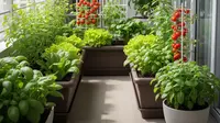 13 Langkah Cara Membuat Kebun Sayur Mini di Balkon Sempit untuk Pemula