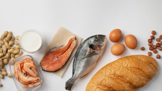 Ilustrasi sumber protein