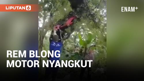 VIDEO: Akibat Rem Blong, Dua Wisatawan Terpental dan Motor Nyangkut Diatas Pohon