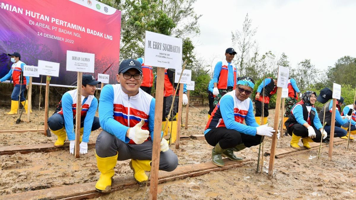 Targetkan Pengurangan Emisi Karbon Melalui Hutan Pertamina