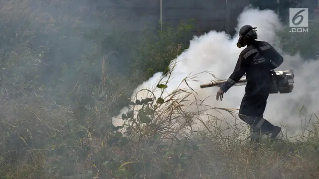 Cegah DBD, Kecamatan Cengkareng Lakukan Fogging