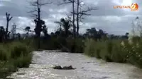 Bah dari Gunung Rinjani, Jembatan Desa di Lombok Timur Ambruk