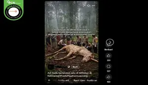 Ragam Hoaks Terkait Kalimantan, Penemuan Kuda Bertanduk Satu hingga Pendaftaran Transmigrasi