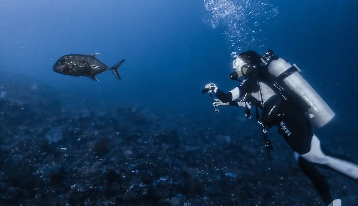Lengkap dengan peralatan menyelam, Gisela memamerkan aktivitas divingnya. Ia terlihat mengenakan full bodysuit berwarna hitam, dengan peralatan menyelam yang lengkap, seperti kacamata, tabung, hingga kaki katak. Foto: Instagram.