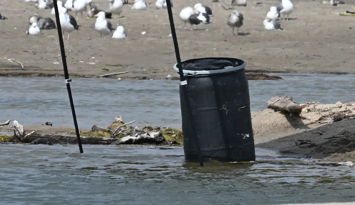Sekitar jam 3 sore, seorang pekerja pemeliharaan dari taman negara melihat tong plastik hitam mengambang di laguna dan membawanya dengan kayak. Pekerja pemeliharaan tidak membukanya. (AFP/Robyn Beck)